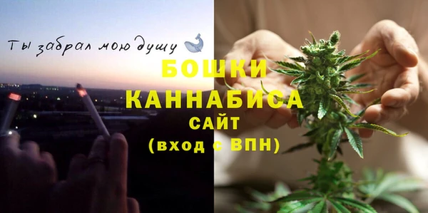 молекула духа Дмитровск