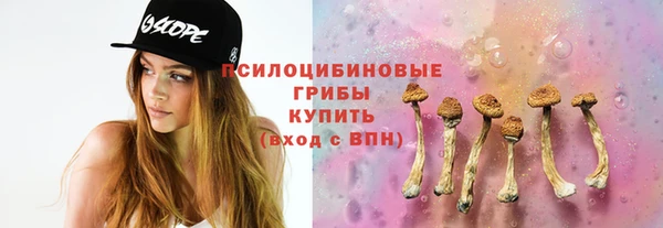 молекула духа Дмитровск