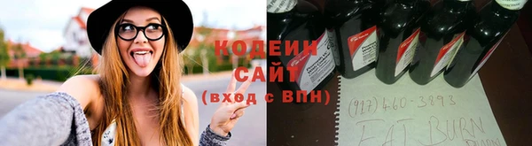 молекула духа Дмитровск
