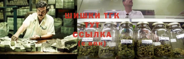 молекула духа Дмитровск