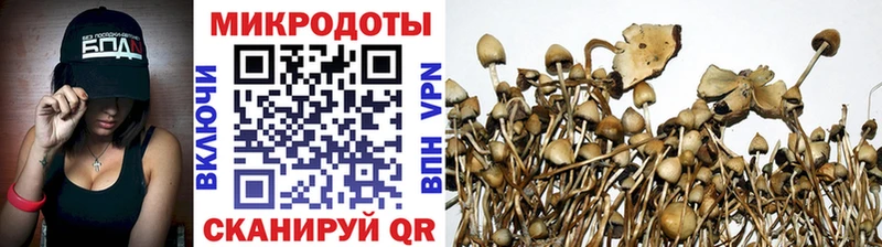 Псилоцибиновые грибы GOLDEN TEACHER Купить Весьегонск